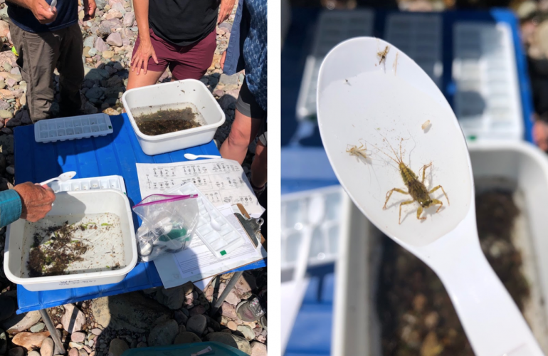 People examine bugs in containers on a table, one bug sits on a spoon