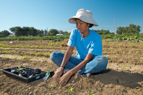 Aaron Lim, a student of Plant Pathology, sitting in a large  field planting crops.