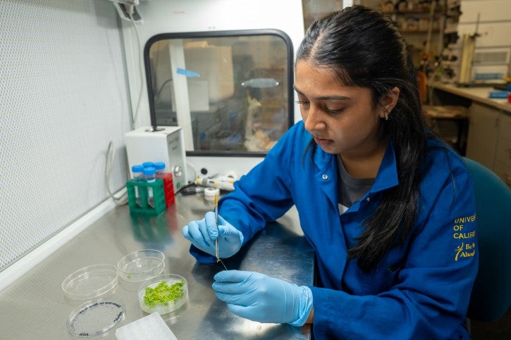Student wearing gloves and blue lab coat works at lab station