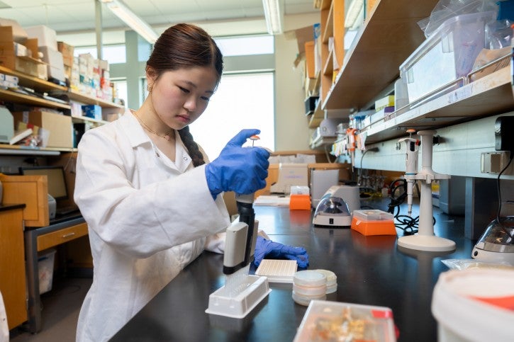 Student wearing gloves and white lab coat works at lab station