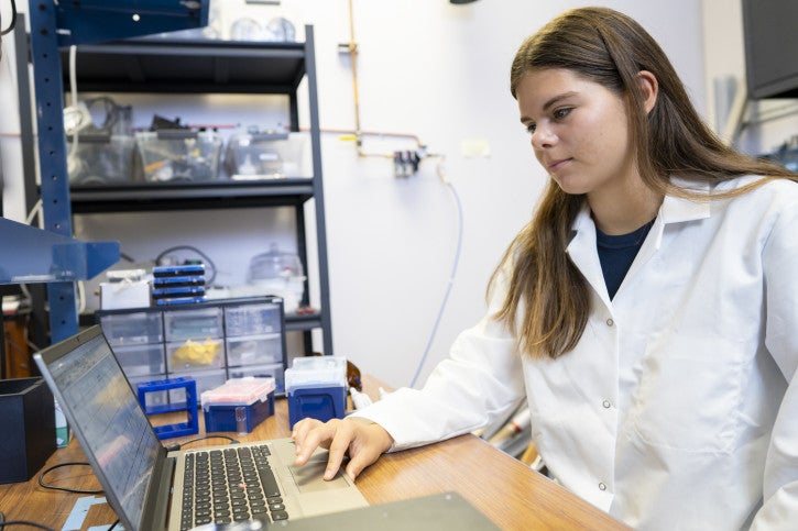 Abigail works on a laptop in the lab.