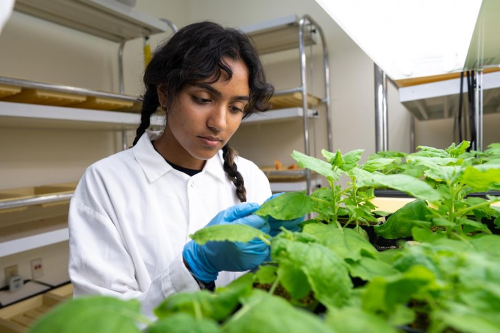 Greeshma inspects plants