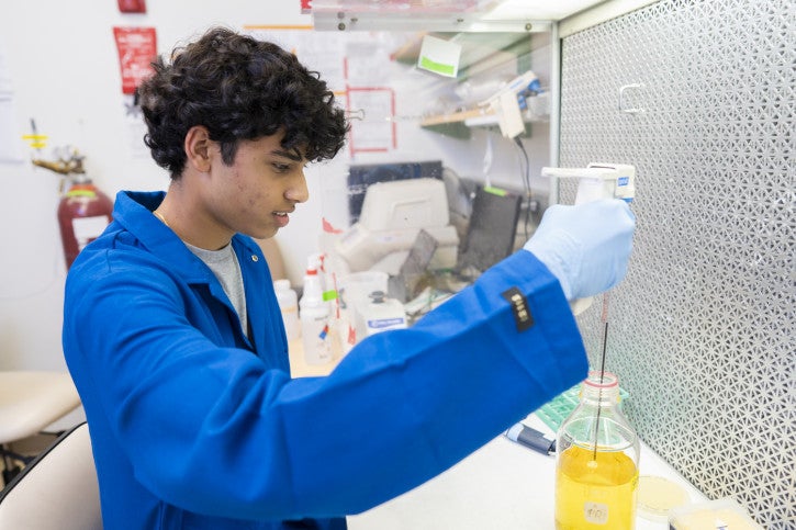 Om works at the lab bench.