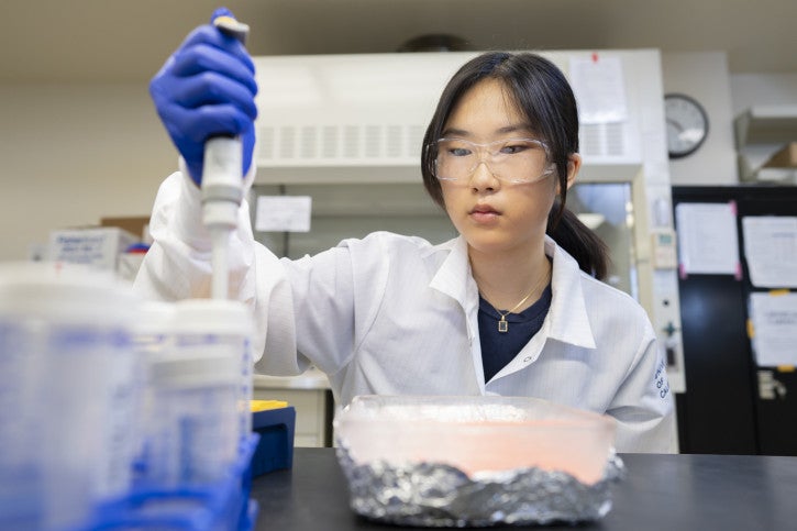 Shawn carefully uses a pipette in the lab.