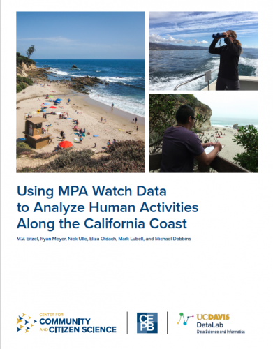 MPA Watch Analysis Report