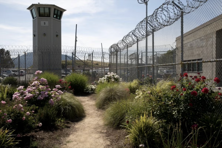A prison yard filled with growing plants and blooming flowers.