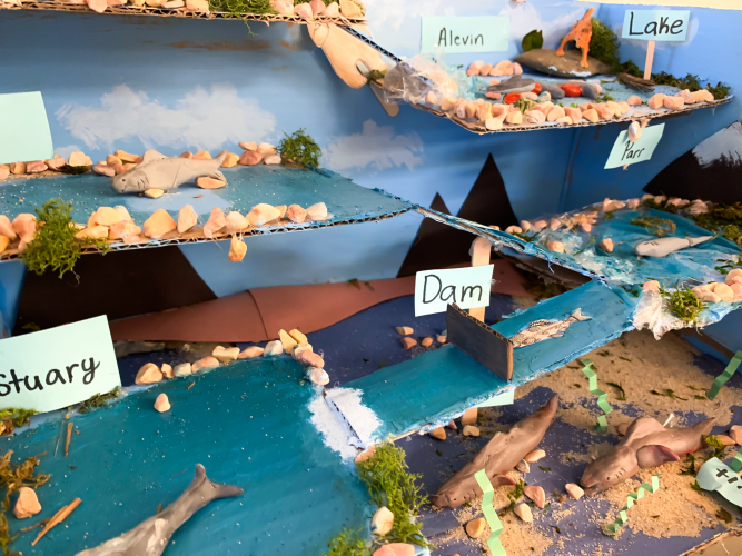 A diorama of a salmon's journey from the mountains to the coast.
