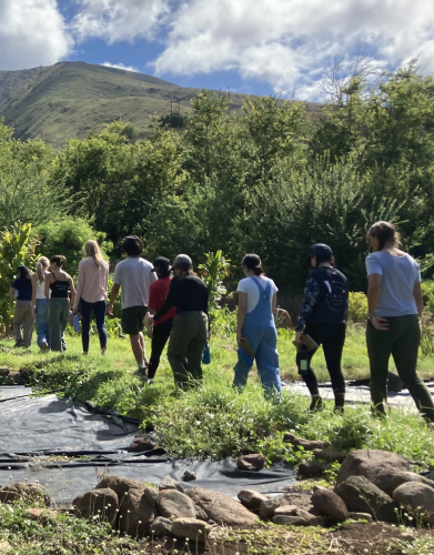 A line of students walk through an open field, following an adult leader.