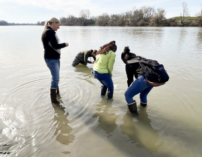 Four people standing in a river look down at the water.