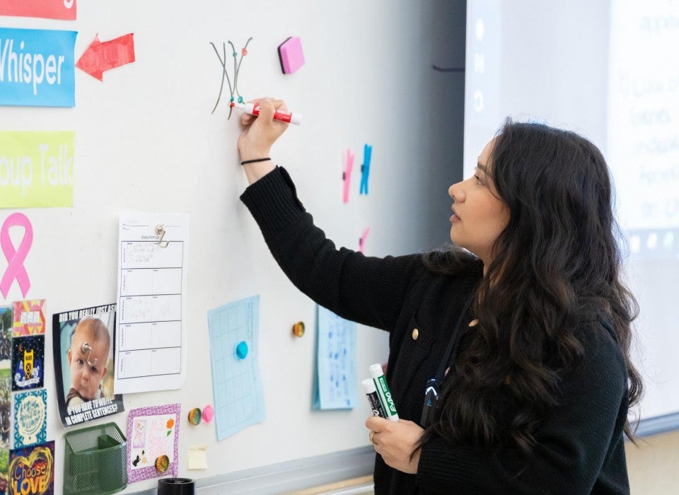 Science student teacher Andrea writes on the whiteboard.