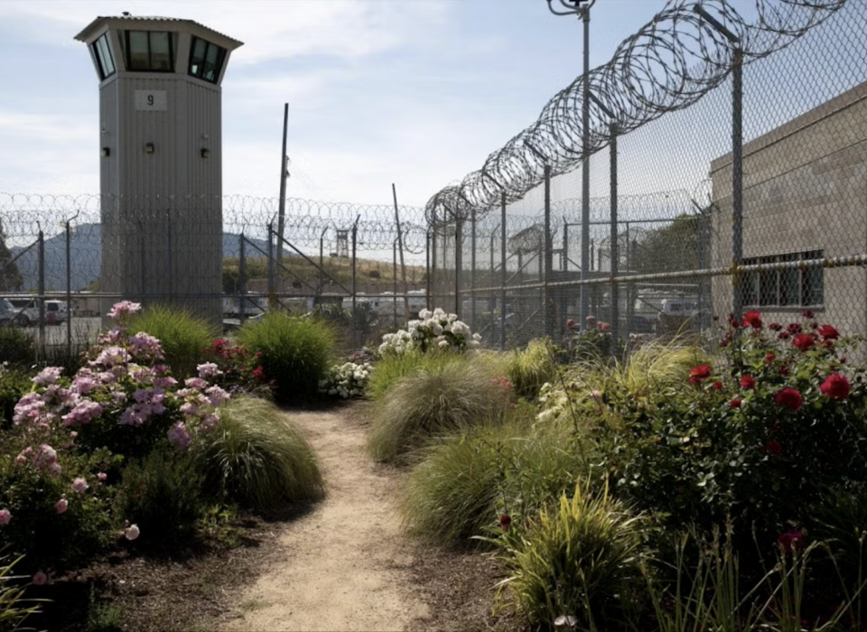 A prison yard filled with growing plants and blooming flowers.