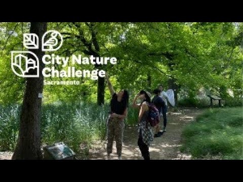 City Nature Challenge Sacramento Crowdfund Campaign