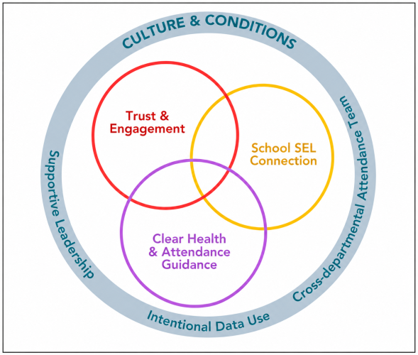 Three overlapping circles labeled Trust and Engagement, School SEL Connection, and Clear Health and Attendance Guidance sit inside a larger circle representing school culture and conditions, with supportive leadership, intentional data use, and a cross-departmental attendance team surrounding them.
