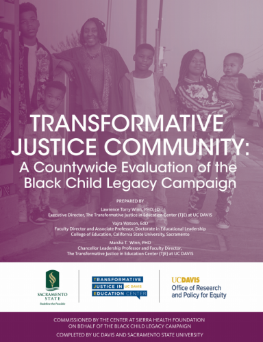 Transformative Justice Community: A Countywide Evaluation of the Black Child Legacy Campaign